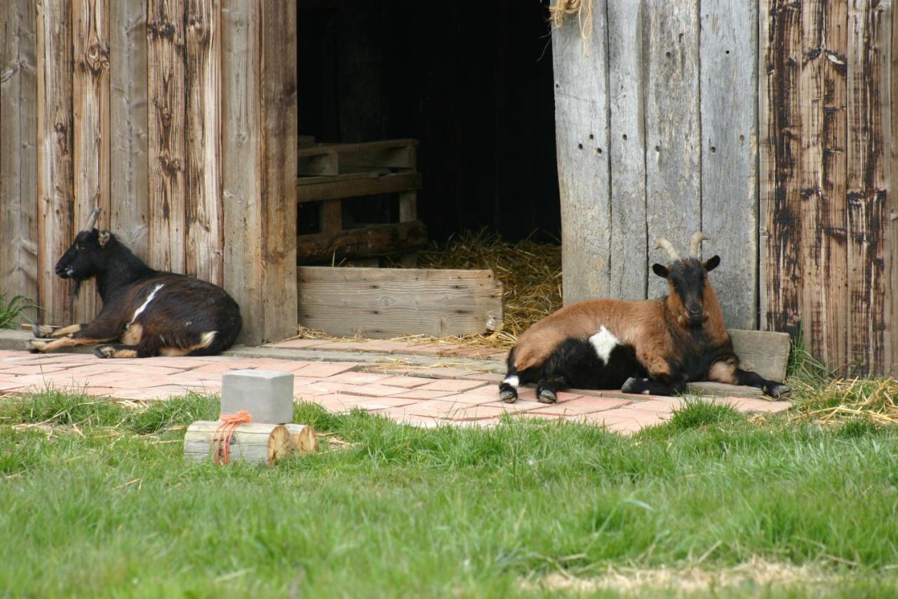 Gite Chez Loupi Épaignes Buitenkant foto