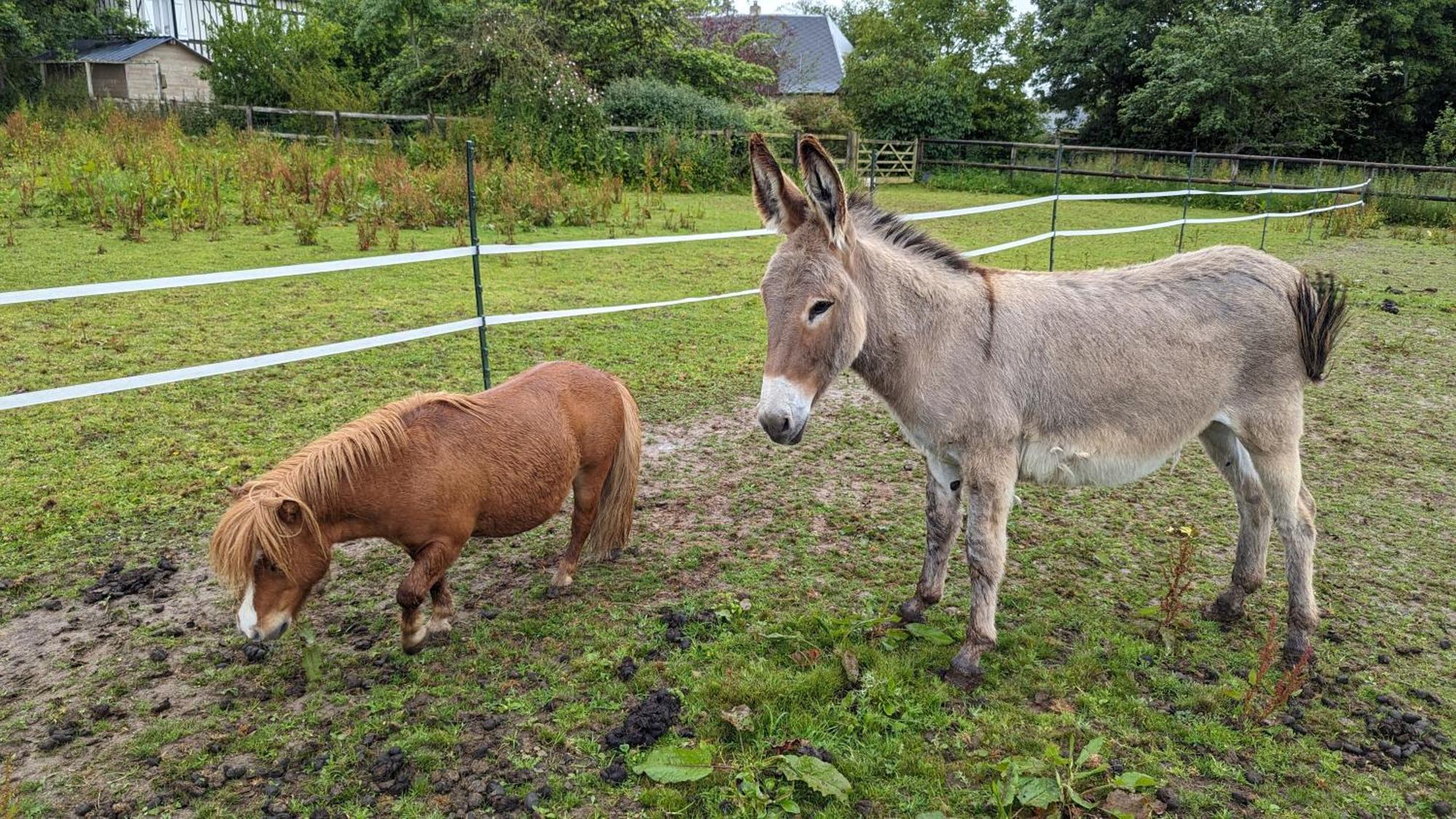 Gite Chez Loupi Épaignes Buitenkant foto